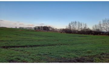 Działka budowlana Krzeczyn Wielki