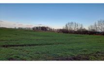 Działka budowlana Krzeczyn Wielki