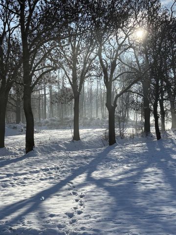 Działka budowlana Staniszów, ul. Lawendowa. Zdjęcie 5