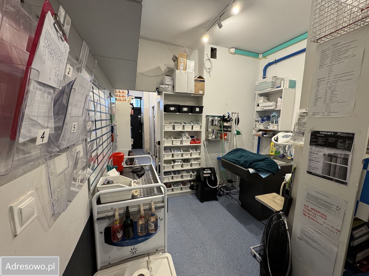 Lokal Gdańsk Chełm, ul. Władysława Cieszyńskiego. Zdjęcie 8