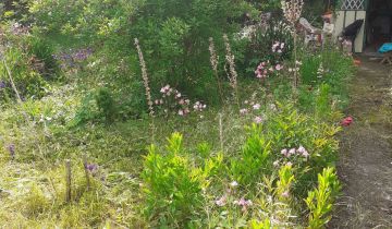 Działka rod Wrocław Sołtysowice