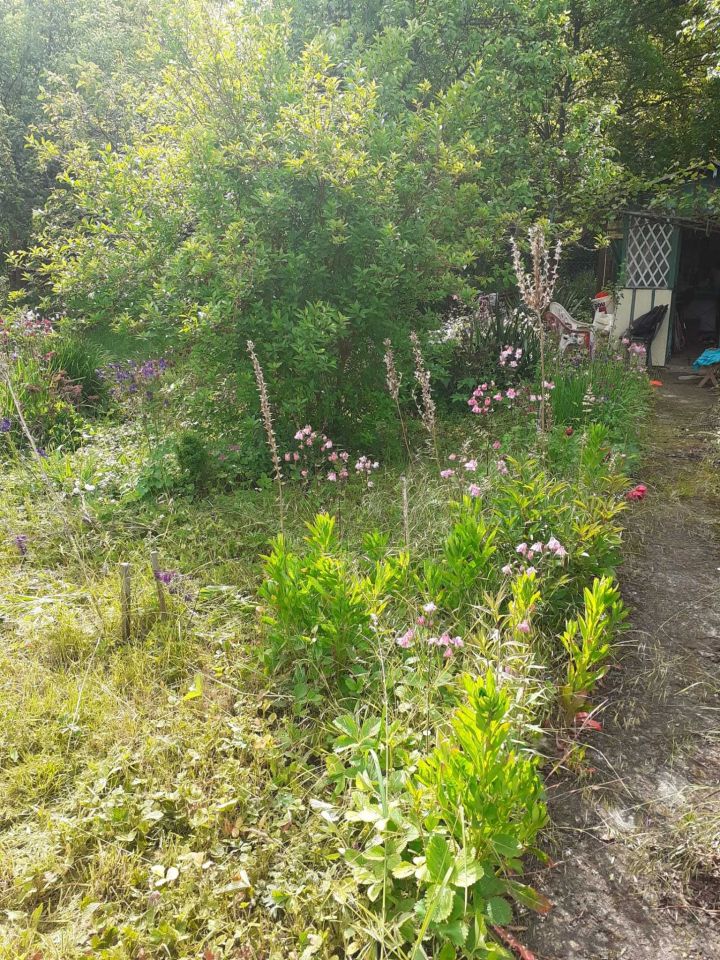 Działka rod Wrocław Sołtysowice. Zdjęcie 2