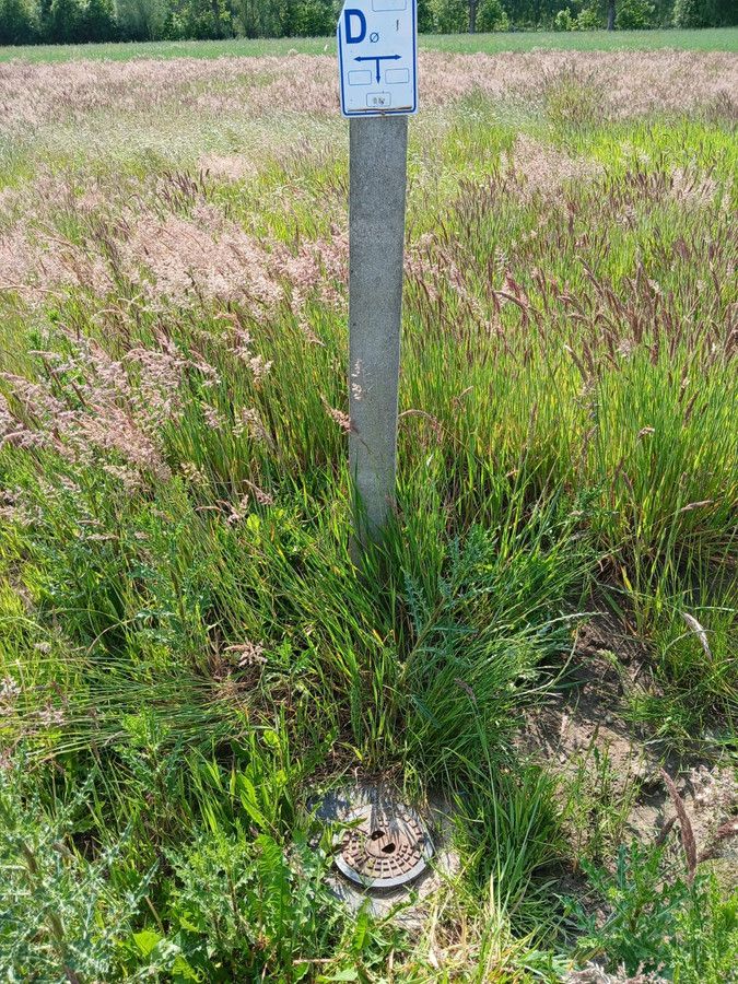 Działka budowlana Sierosław. Zdjęcie 9