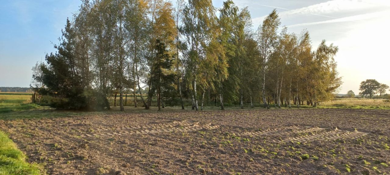 Działka budowlana Korzeńsko, ul. Chodlewska. Zdjęcie 9