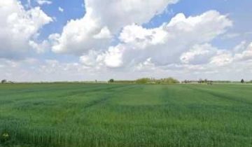 Działka budowlana Karczów