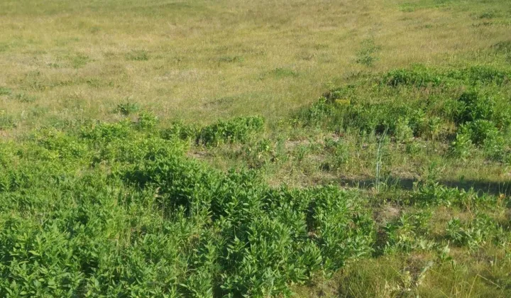 Działka budowlana Balczewo