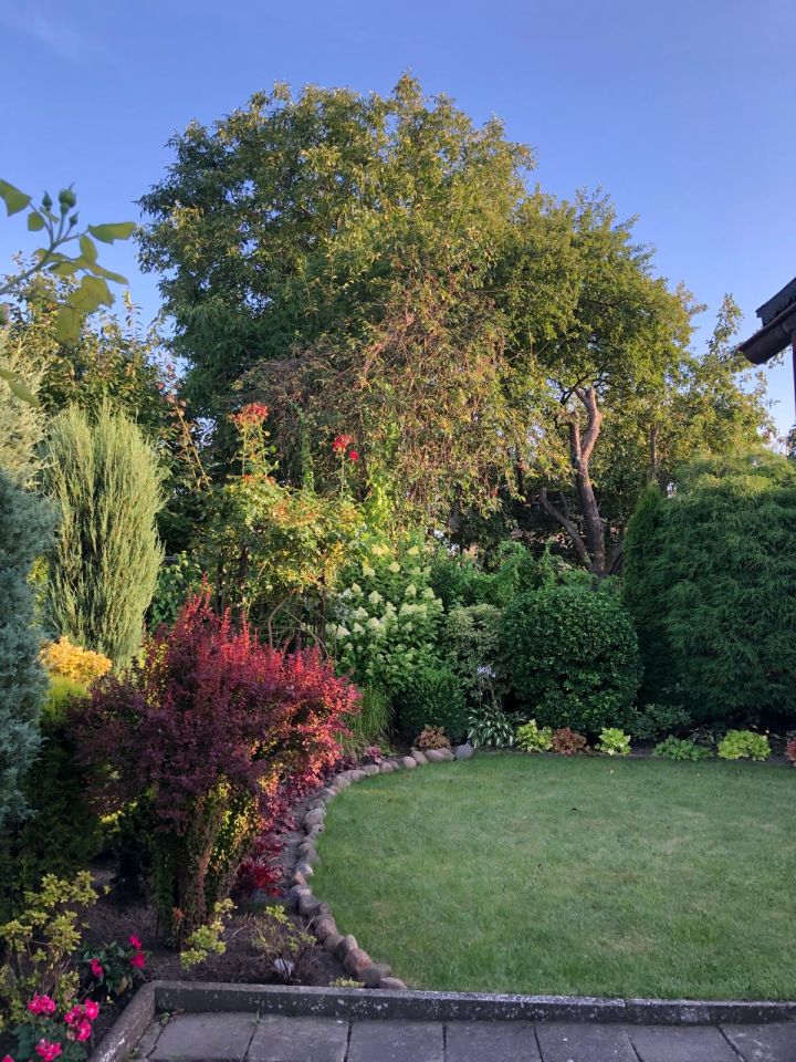 Działka rod Gliwice Trynek, Gliwice Trynek. Zdjęcie 4