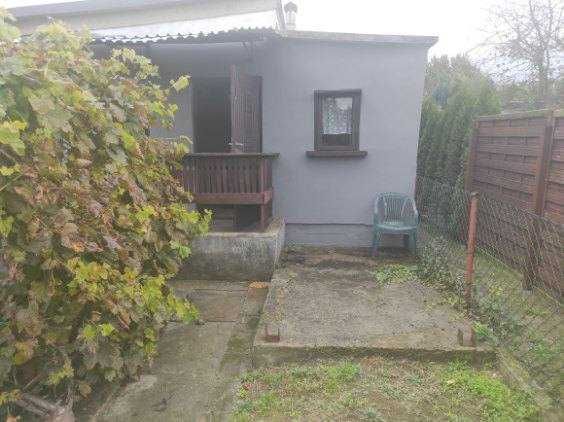 Działka rod Czernica. Zdjęcie 4