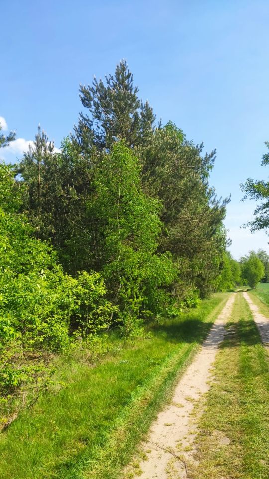 Działka rolno-budowlana Zasonie. Zdjęcie 1