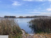 dom wolnostojący, 3 pokoje Maśluchy. Zdjęcie 3