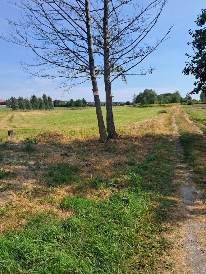 Działka rolno-budowlana Kąty. Zdjęcie 8