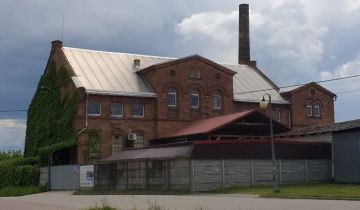 Nieruchomość komercyjna Lgiń