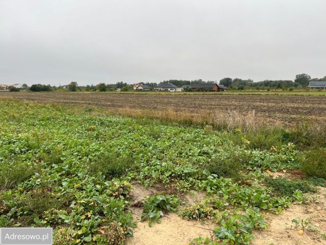 Działka budowlana Lusowo, ul. Andrzeja Kopy. Zdjęcie 1