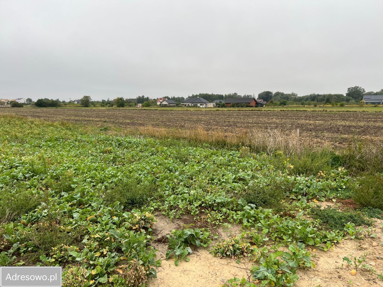 Działka budowlana Lusowo, ul. Andrzeja Kopy