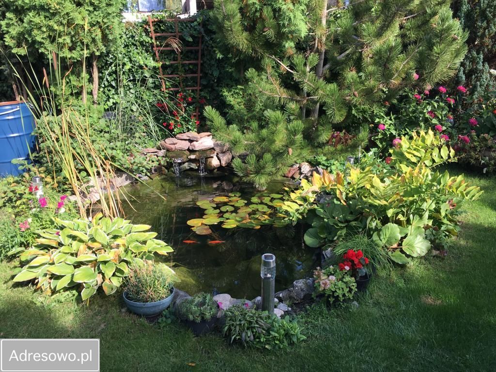 dom wolnostojący, 8 pokoi Niemczyn. Zdjęcie 8