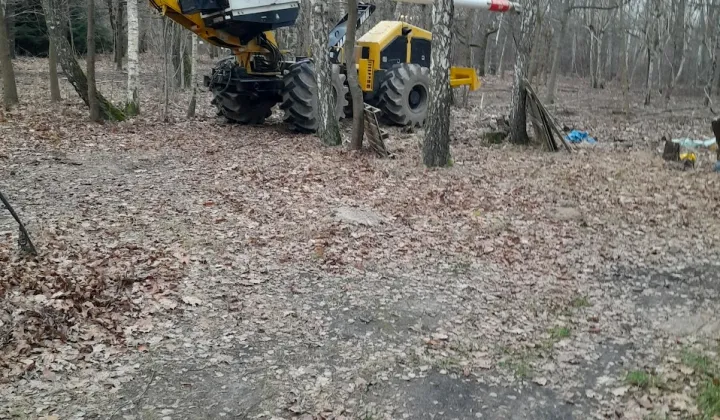 Działka budowlana Złotokłos, ul. Topolowa