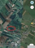 Działka leśna Krypno Kościelne. Zdjęcie 1