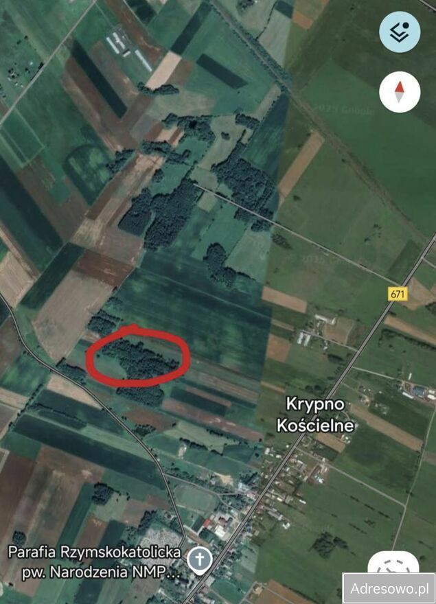 Działka leśna Krypno Kościelne. Zdjęcie 2