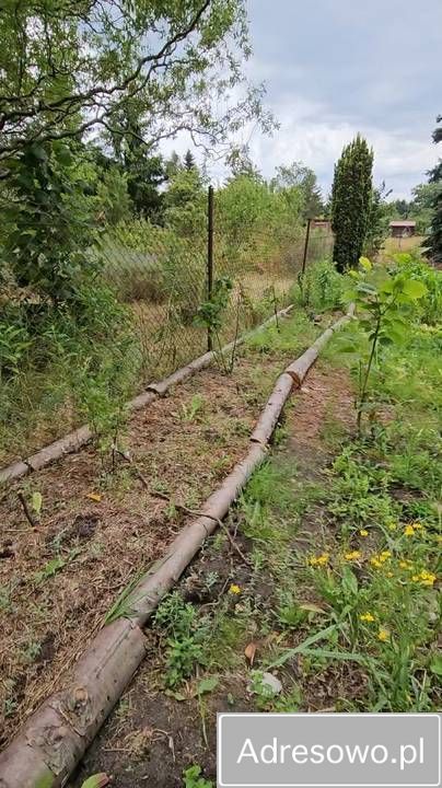 Działka rod Żagań. Zdjęcie 6