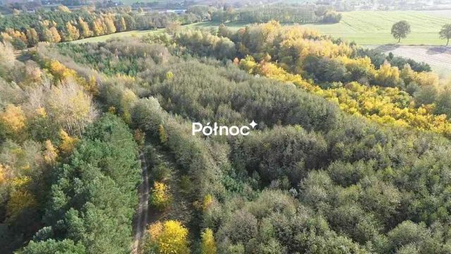 Działka rolna Michalin. Zdjęcie 5