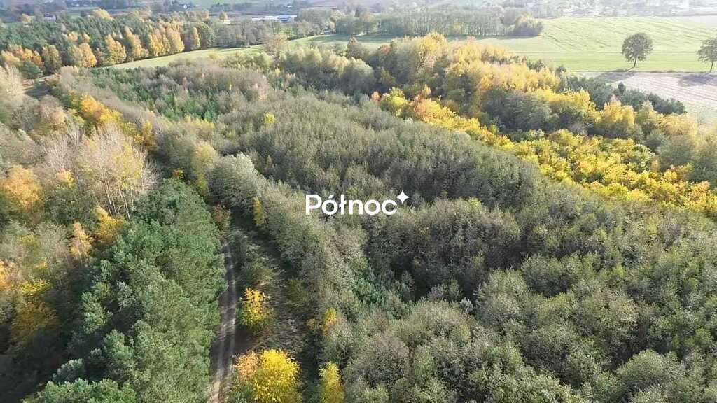 Działka rolna Michalin. Zdjęcie 5