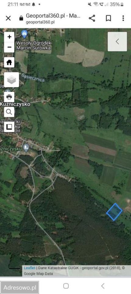 Działka leśna Kuźniczysko. Zdjęcie 2