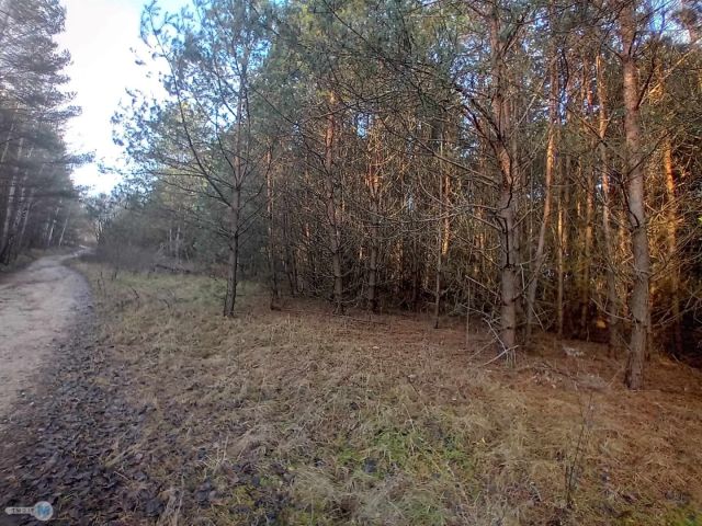 Działka inwestycyjna Daleszyce. Zdjęcie 5