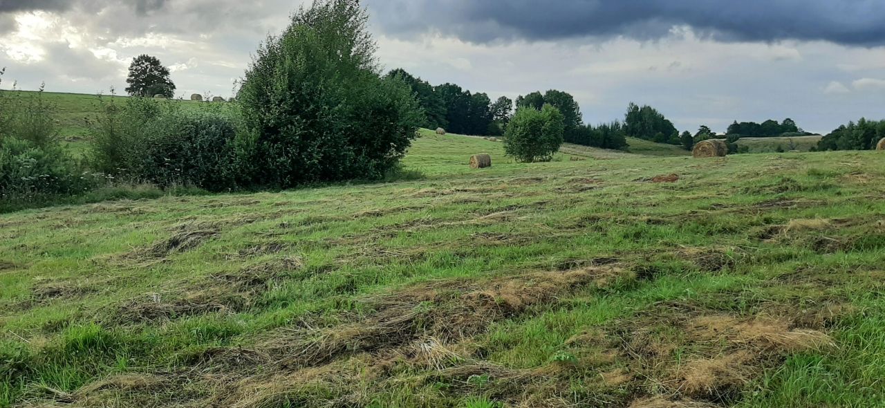 Działka siedliskowa Grotowo. Zdjęcie 3