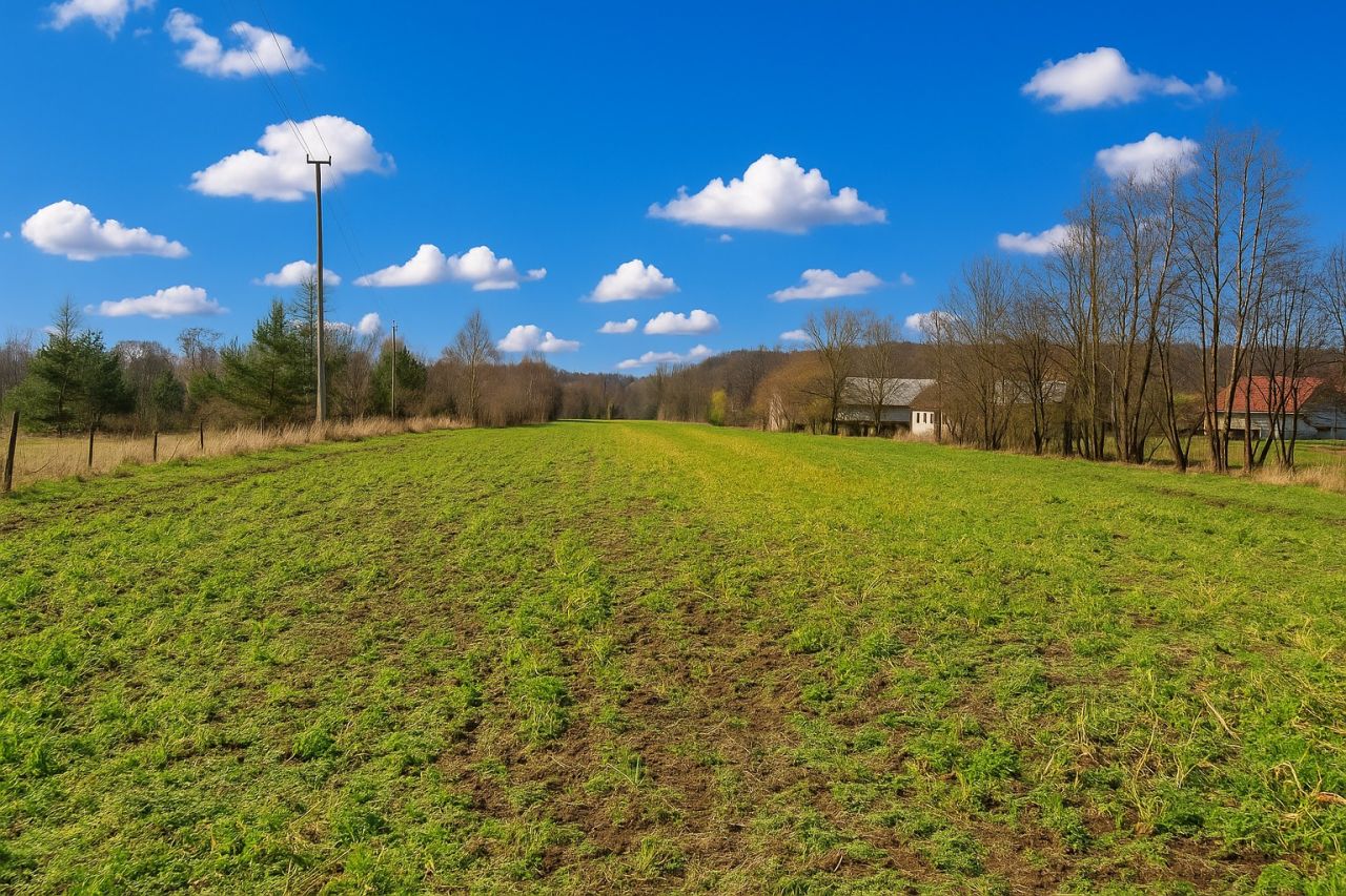 Działka rolno-budowlana Kamień Kamień Górny. Zdjęcie 2