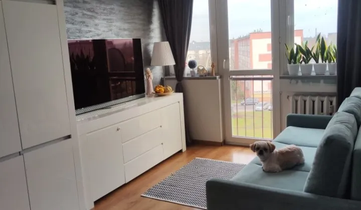 Mieszkanie 2-pokojowe Milicz, ul. Mikołaja Kopernika