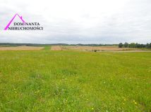 Działka rolna Gronowo. Zdjęcie 4
