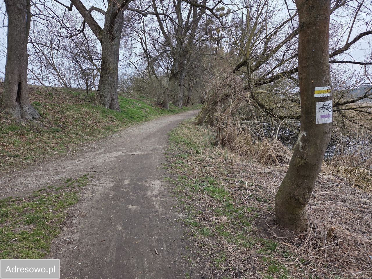 Działka budowlana Lusówko, ul. Jastrzębia. Zdjęcie 6