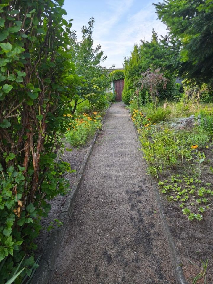 Działka rod Bydgoszcz. Zdjęcie 5