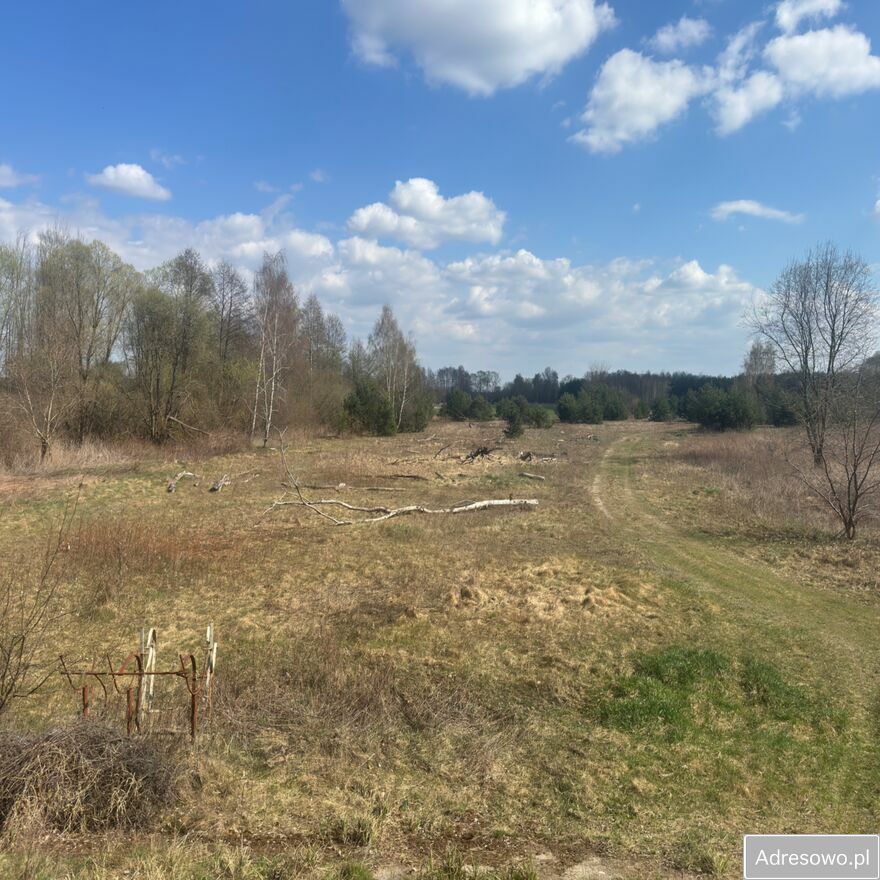 Działka rolna Górki. Zdjęcie 2