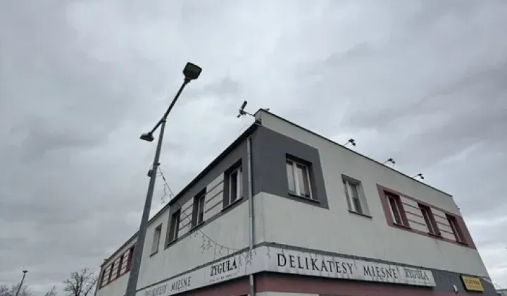 Lokal Strzelin, ul. Dzierżoniowska