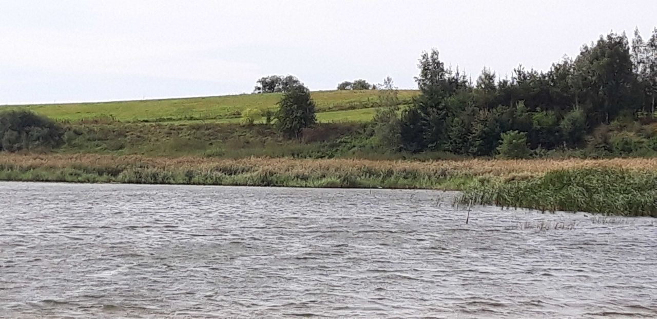 Działka rekreacyjna Rodowo. Zdjęcie 4