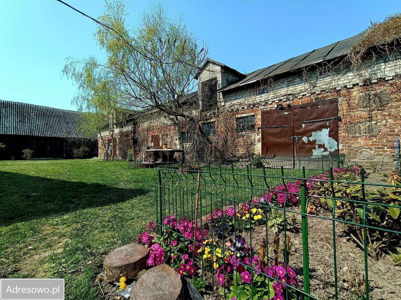 gospodarstwo, 3 pokoje Ernestynów Kujawki. Zdjęcie 20