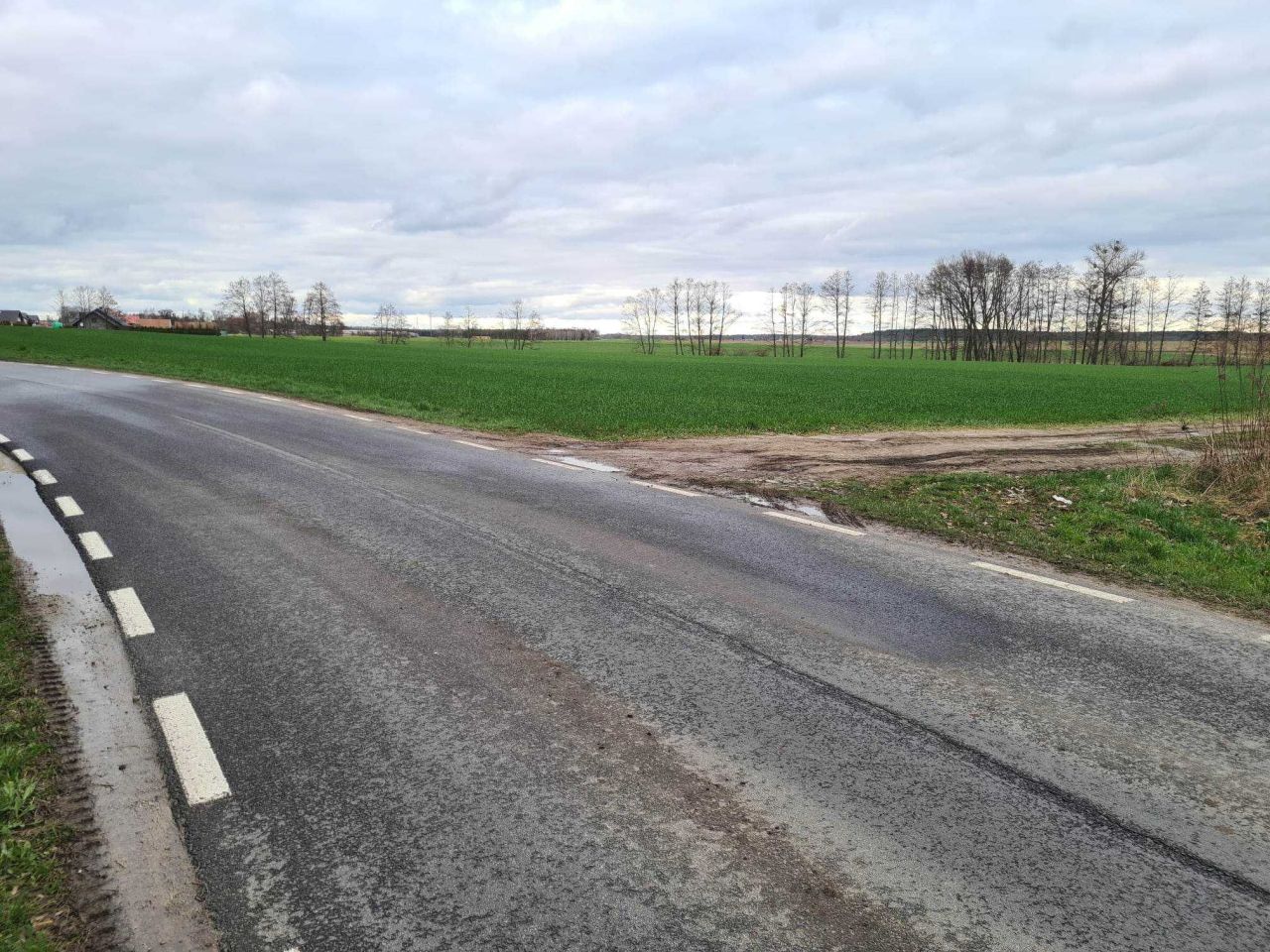 Działka budowlana Rybojedzko, ul. Leśna. Zdjęcie 3