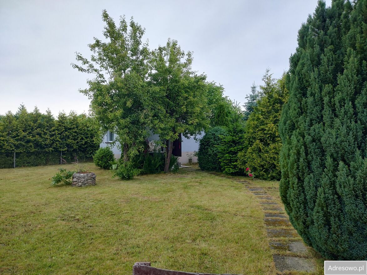 Działka rod Mielno. Zdjęcie 6