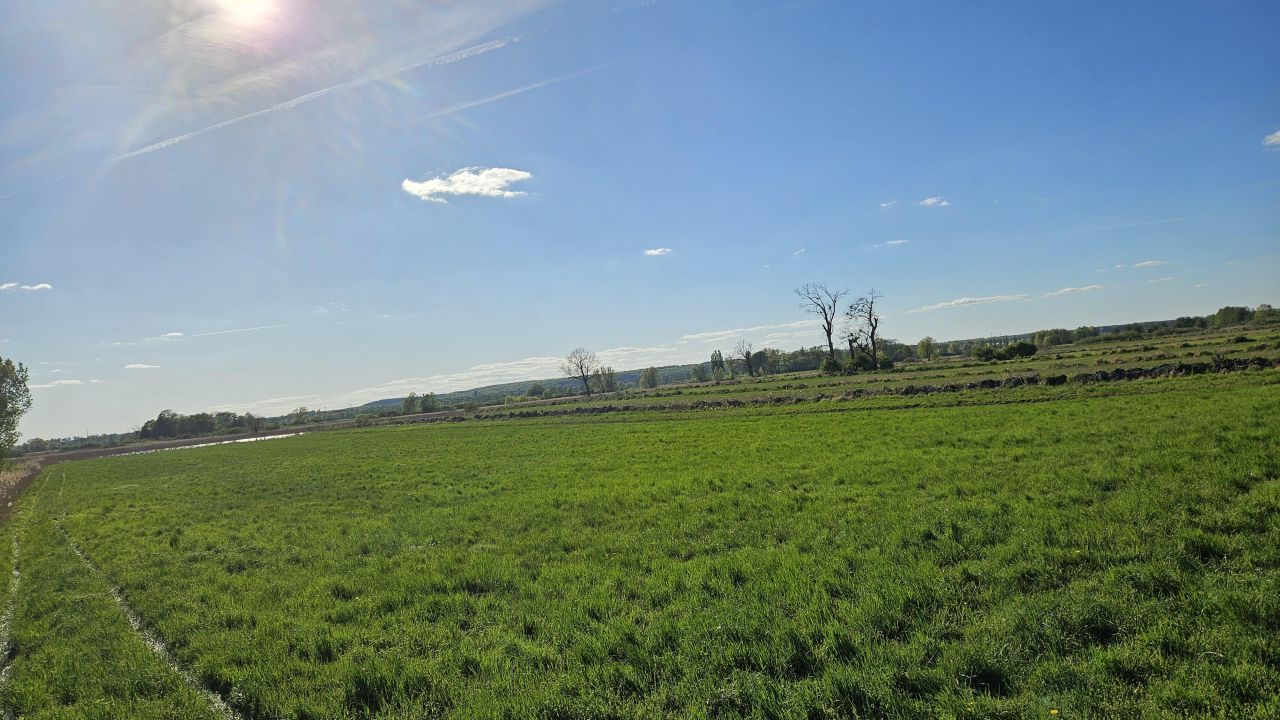 Działka rolna Nieznań. Zdjęcie 4