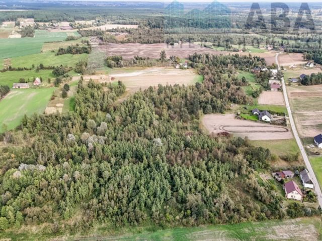 Działka rolna Brzózki. Zdjęcie 6