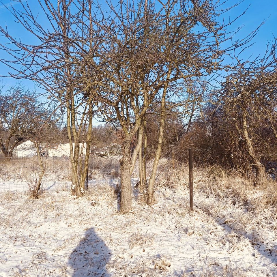 Działka rod Szczecin Bukowo, ul. Podgórna. Zdjęcie 2