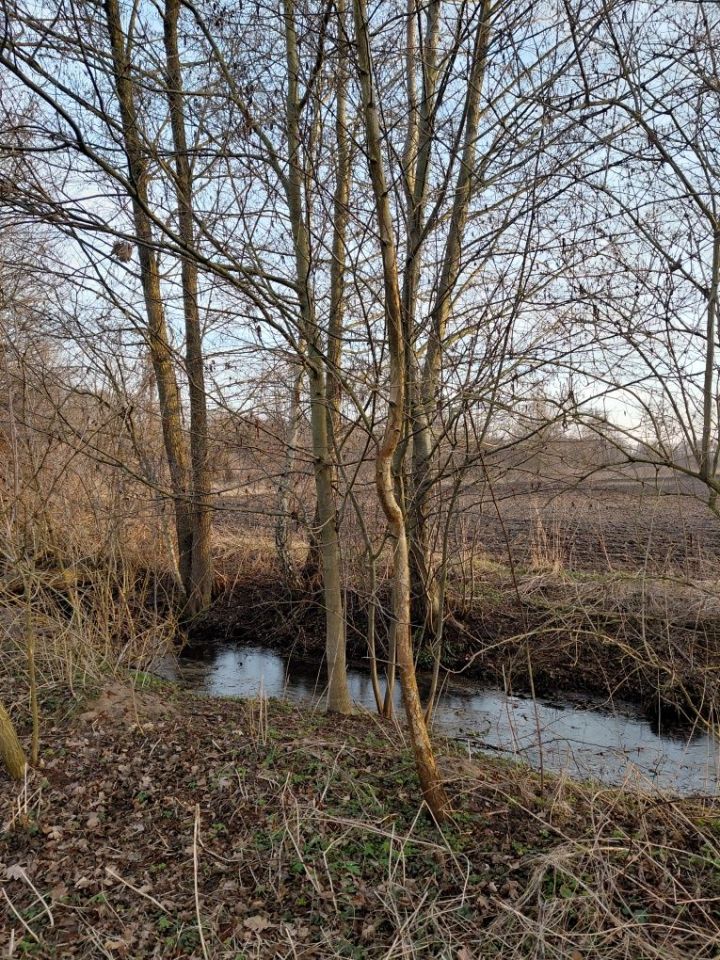 Działka rekreacyjna Wola Jabłońska. Zdjęcie 5