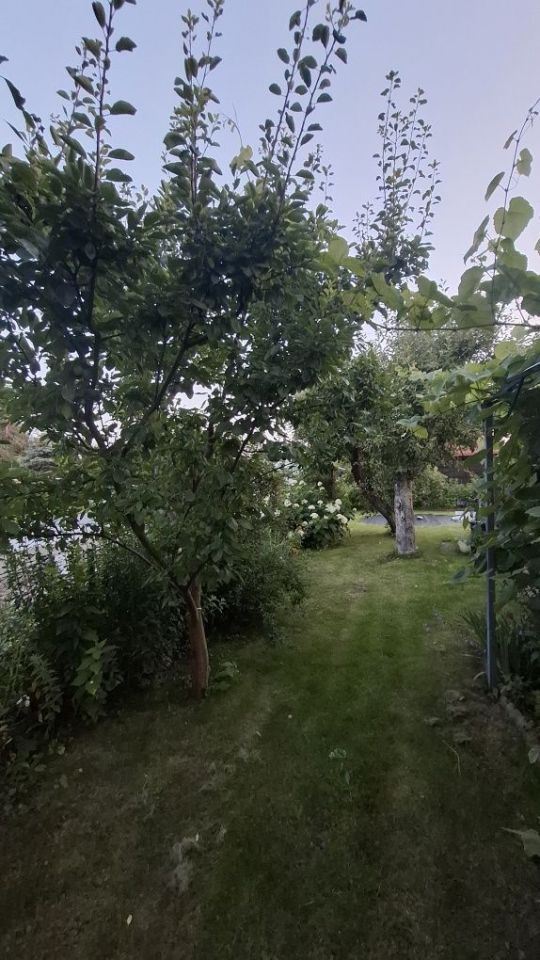 Działka rod Białystok, ul. Konstantego Ciołkowskiego. Zdjęcie 6