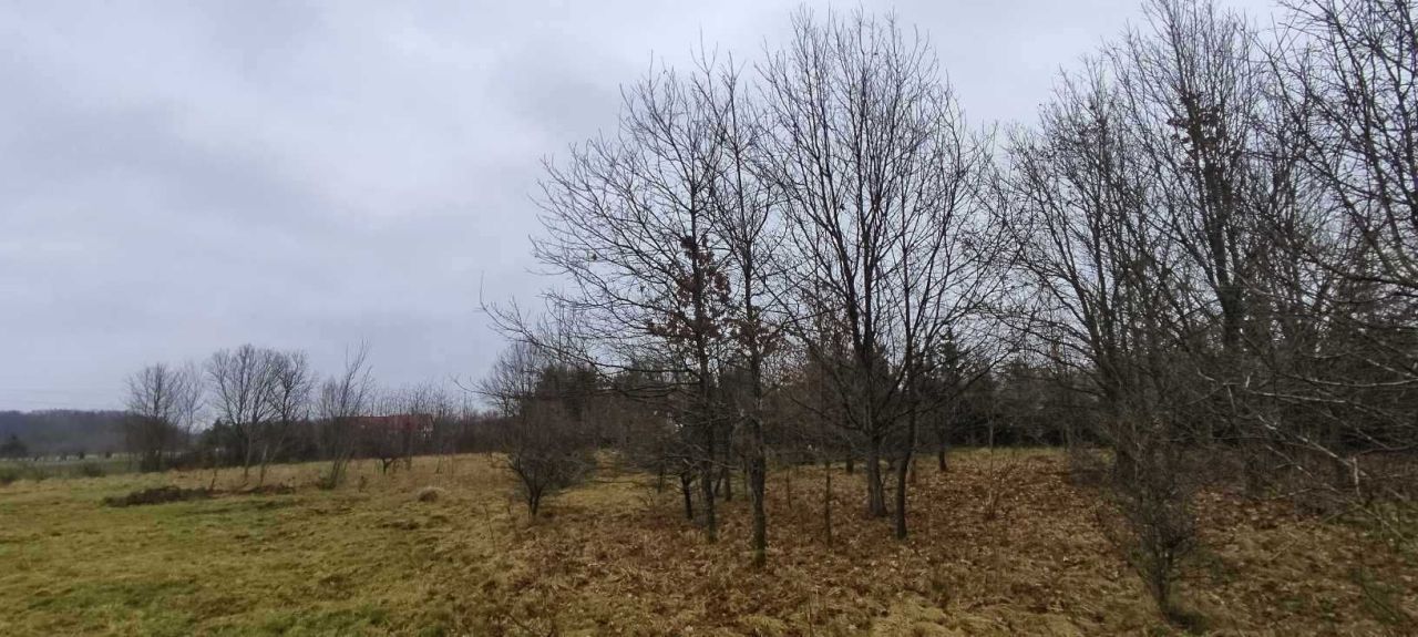 Działka budowlana Gałęzinowo. Zdjęcie 5