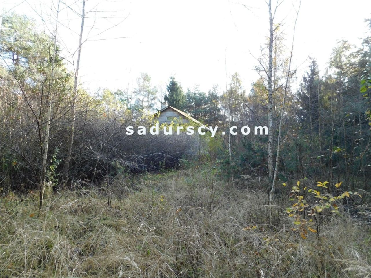 Działka budowlana Biały Ług. Zdjęcie 29