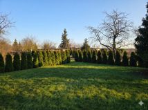 Działka rekreacyjna Rawicz, ul. Henryka Sienkiewicza. Zdjęcie 2