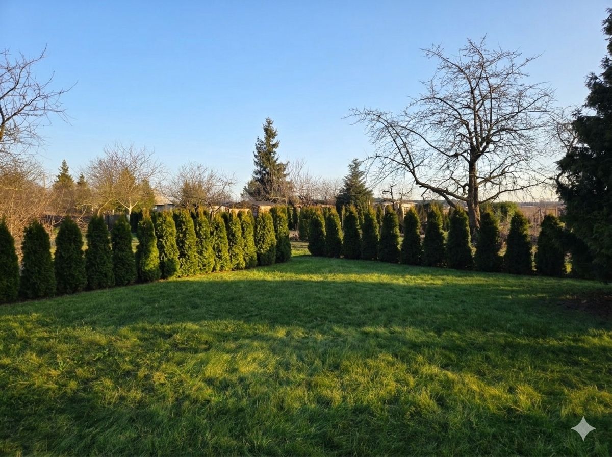 Działka rekreacyjna Rawicz, ul. Henryka Sienkiewicza. Zdjęcie 3