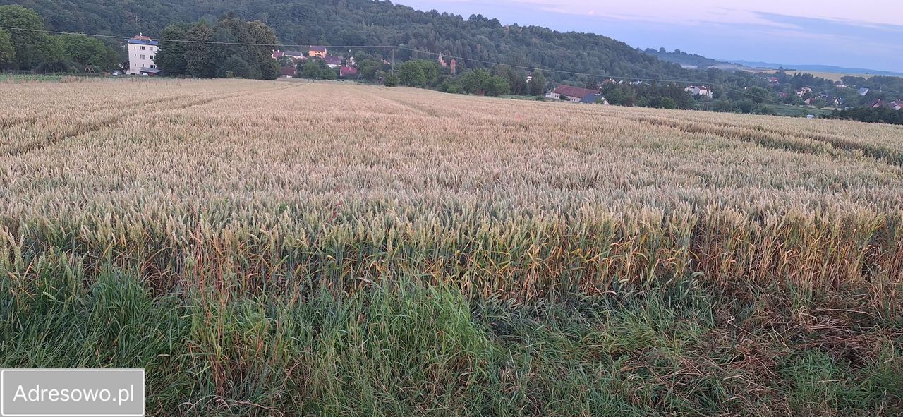 Działka budowlana Przemyśl, ul. Złota. Zdjęcie 4