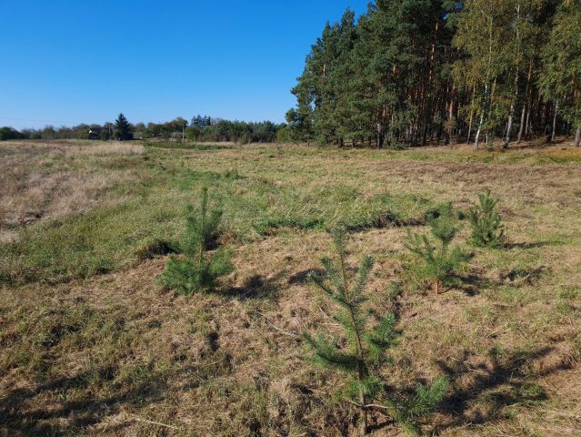 Działka budowlana Potok. Zdjęcie 1